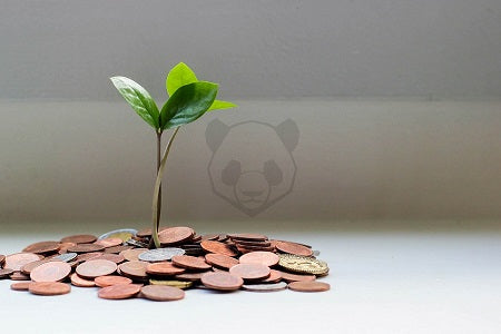 Wie du mit Nachhaltigkeit sogar Geld sparen kannst